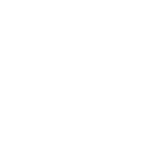 Pirátská strana